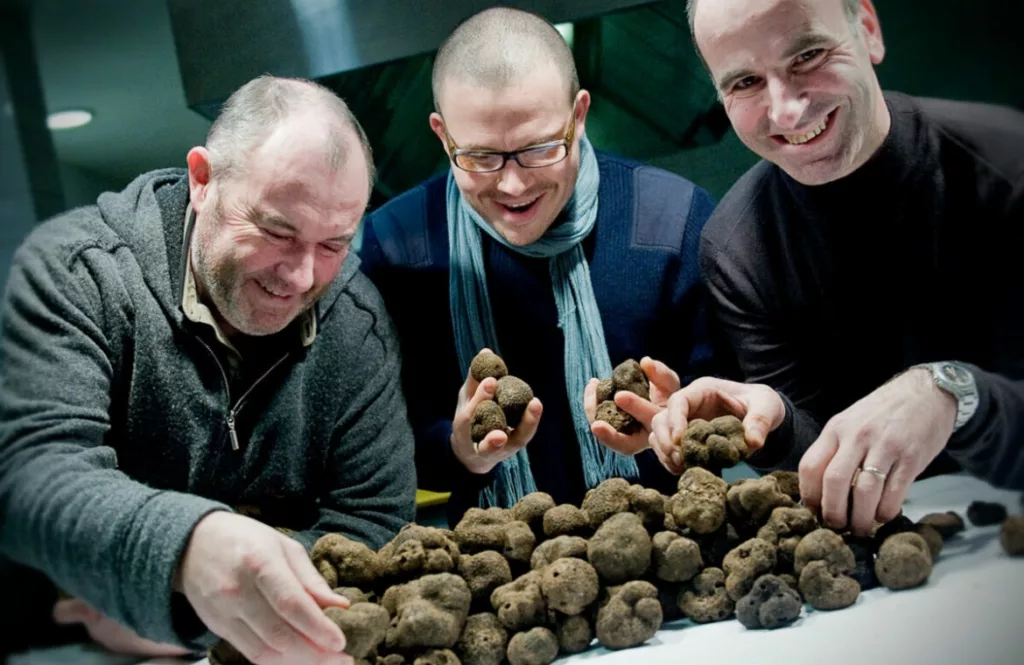 Truffes noires de Lalbenque, produites dans le Lot, Occitanie, Site Remarquable du Goût