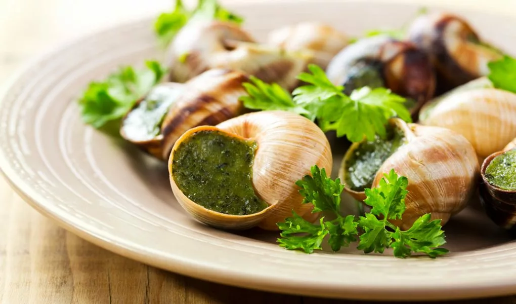 Escargots produits à la Ferme des Escargots au Vigean, Cantal